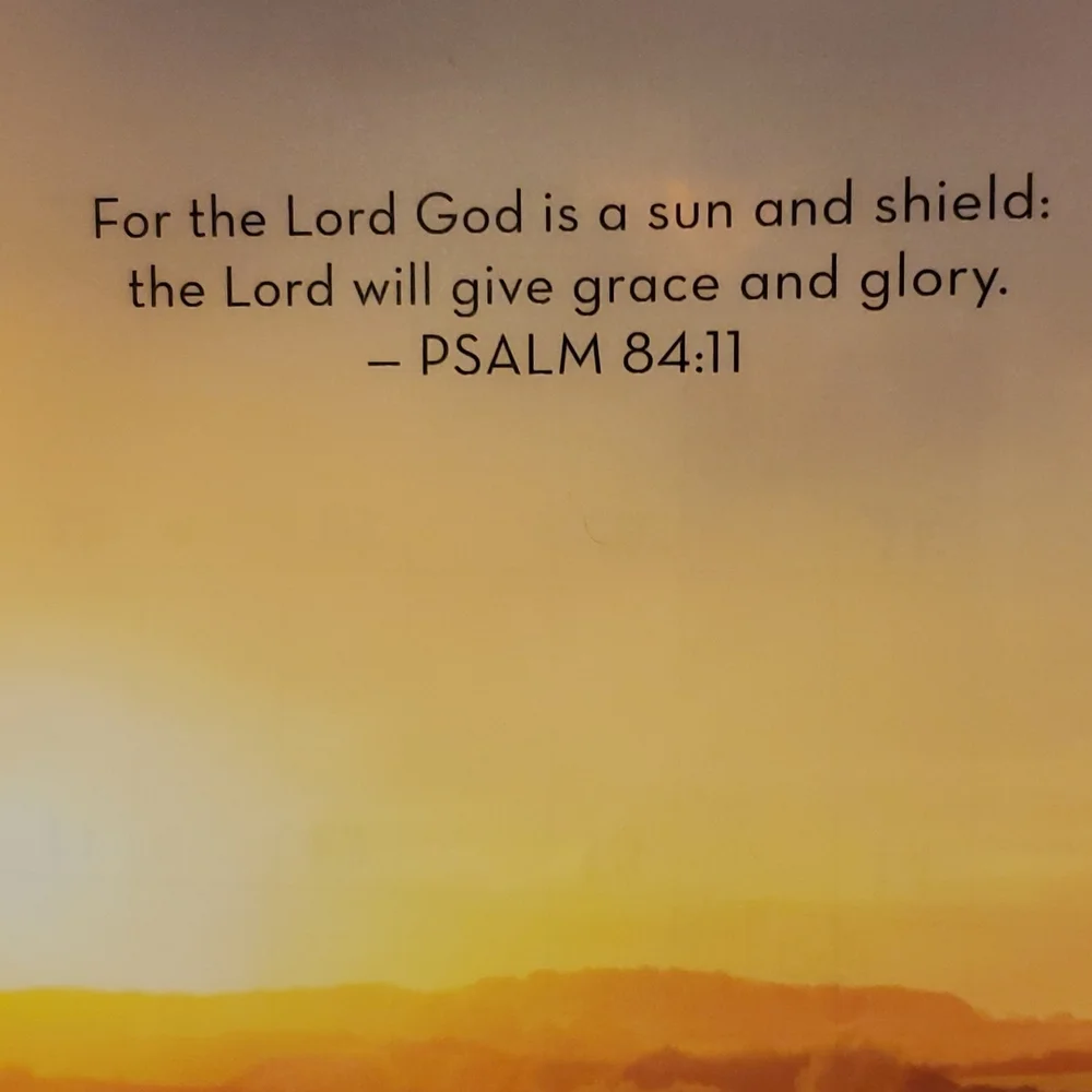Handmade cover For A classic sized Disc Bound Planner Psalm 84:11 field scenes